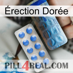 Érection Dorée 40